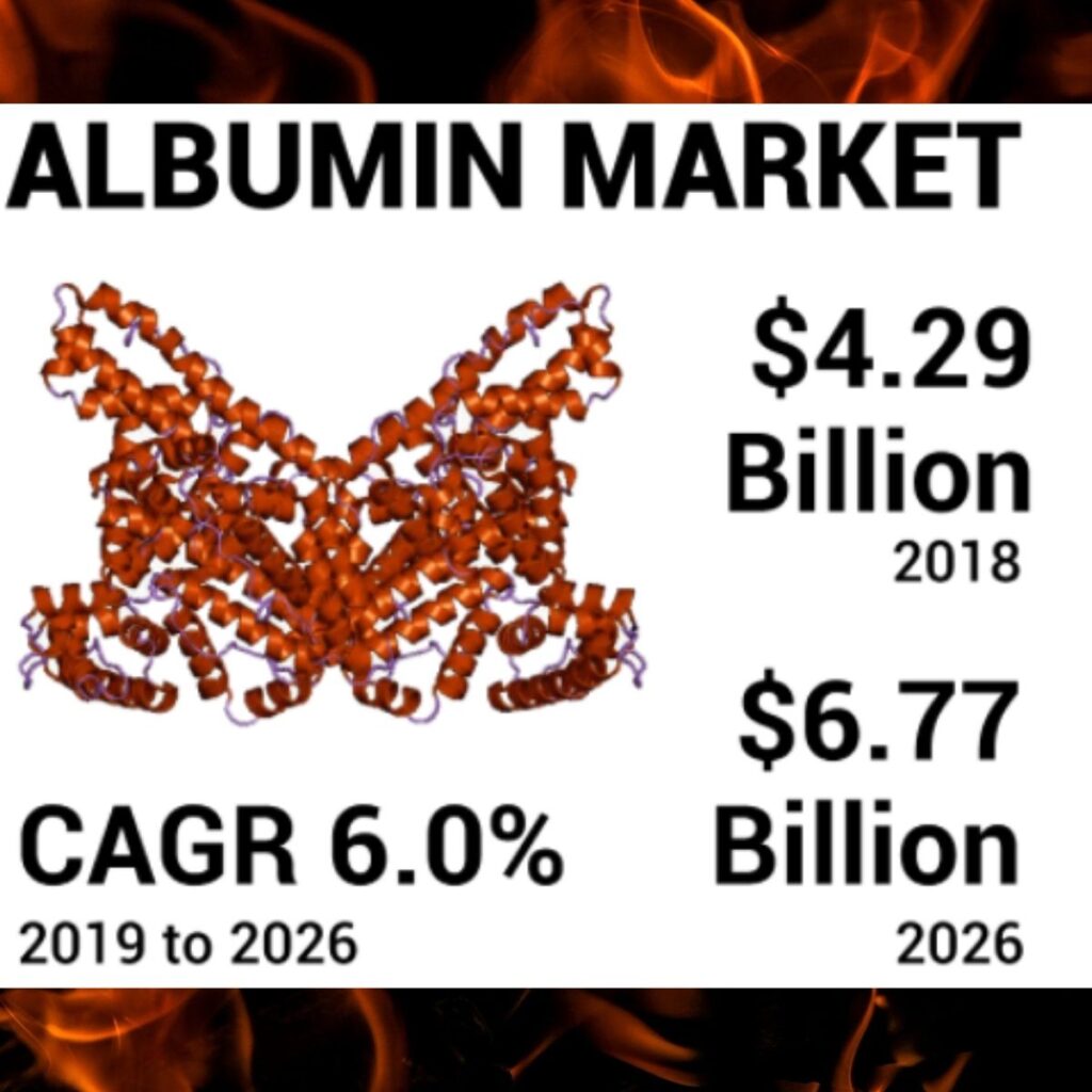Albumin market