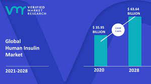 Diabetic Nephropathy Market Size, Share, Growth and Trends Forecast to 2028