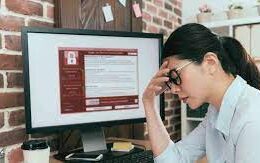 SMB Owners and Security Specialists Share Insight on Ransomware Attacks and Prevention