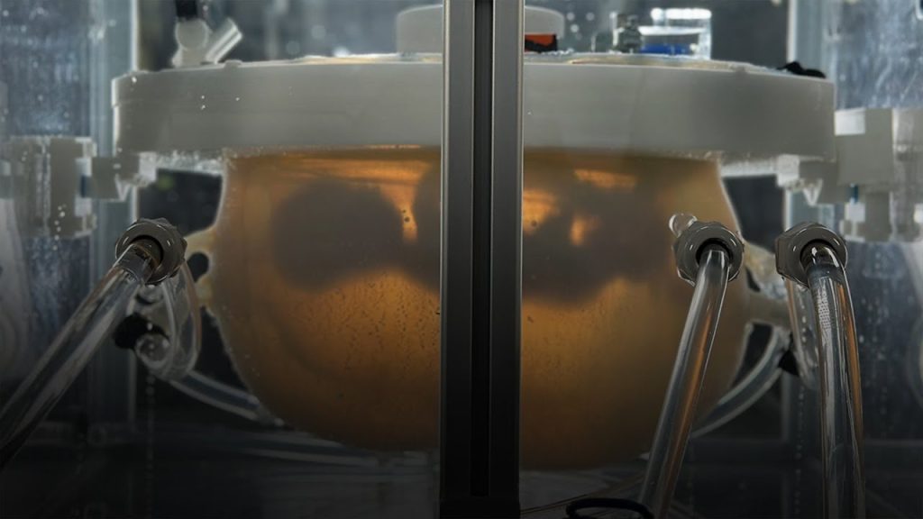 The Evolution of Artificial Womb Technology