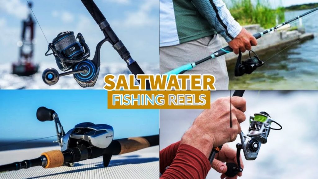 Navigate the Saltwater Depths: Discover the Ultimate Fishing Reel Collection