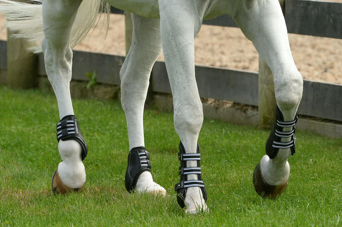 Maximize Your Horse's Potential: The Benefits of Quality Jump Accessories