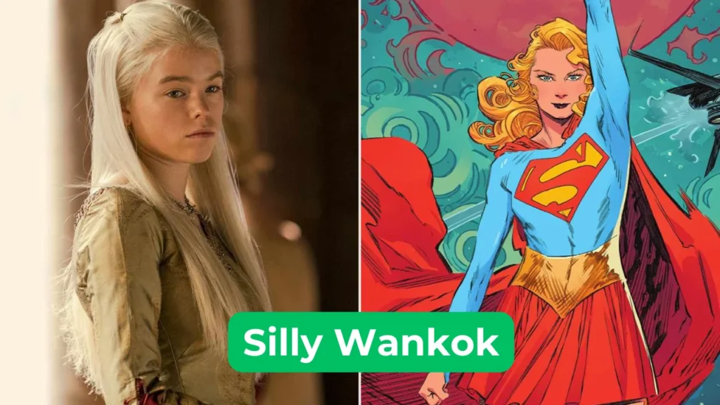 The Curious Case of "Silly Wankok": A Fun, Fictional Fable