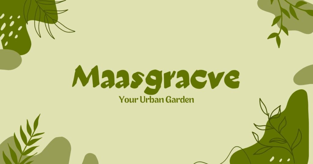 Unveiling the Mystery of Maasgracve: A Deep Dive into Its Significance and History