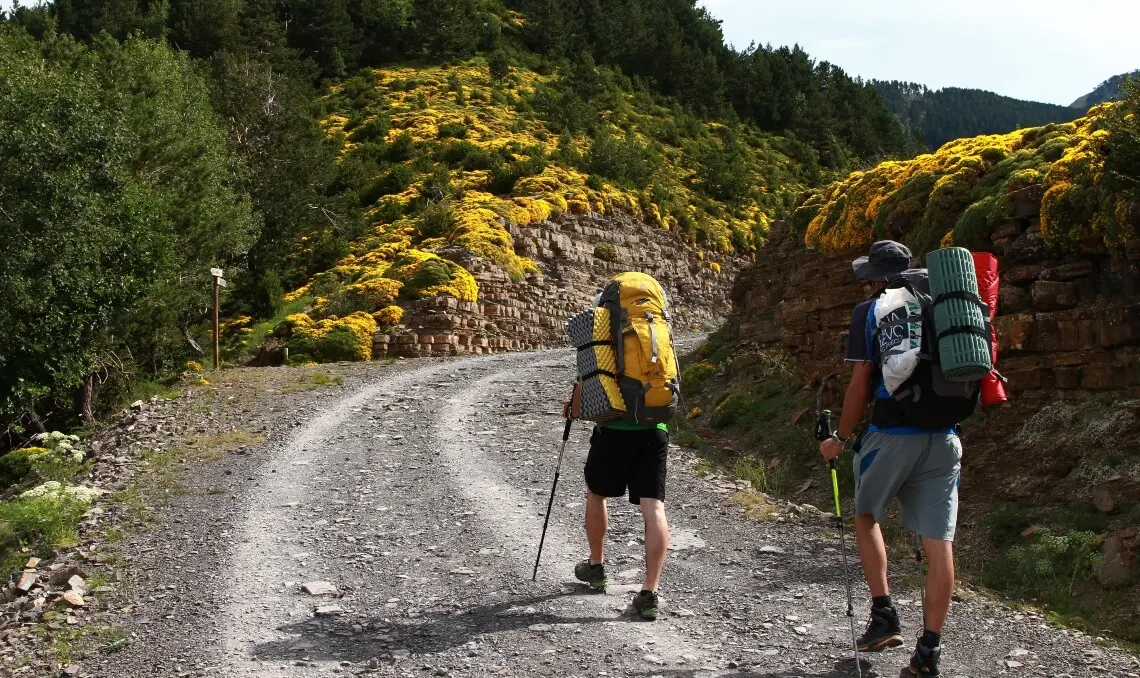 Discovering the Fascinating World of National Park Hiking Adventures