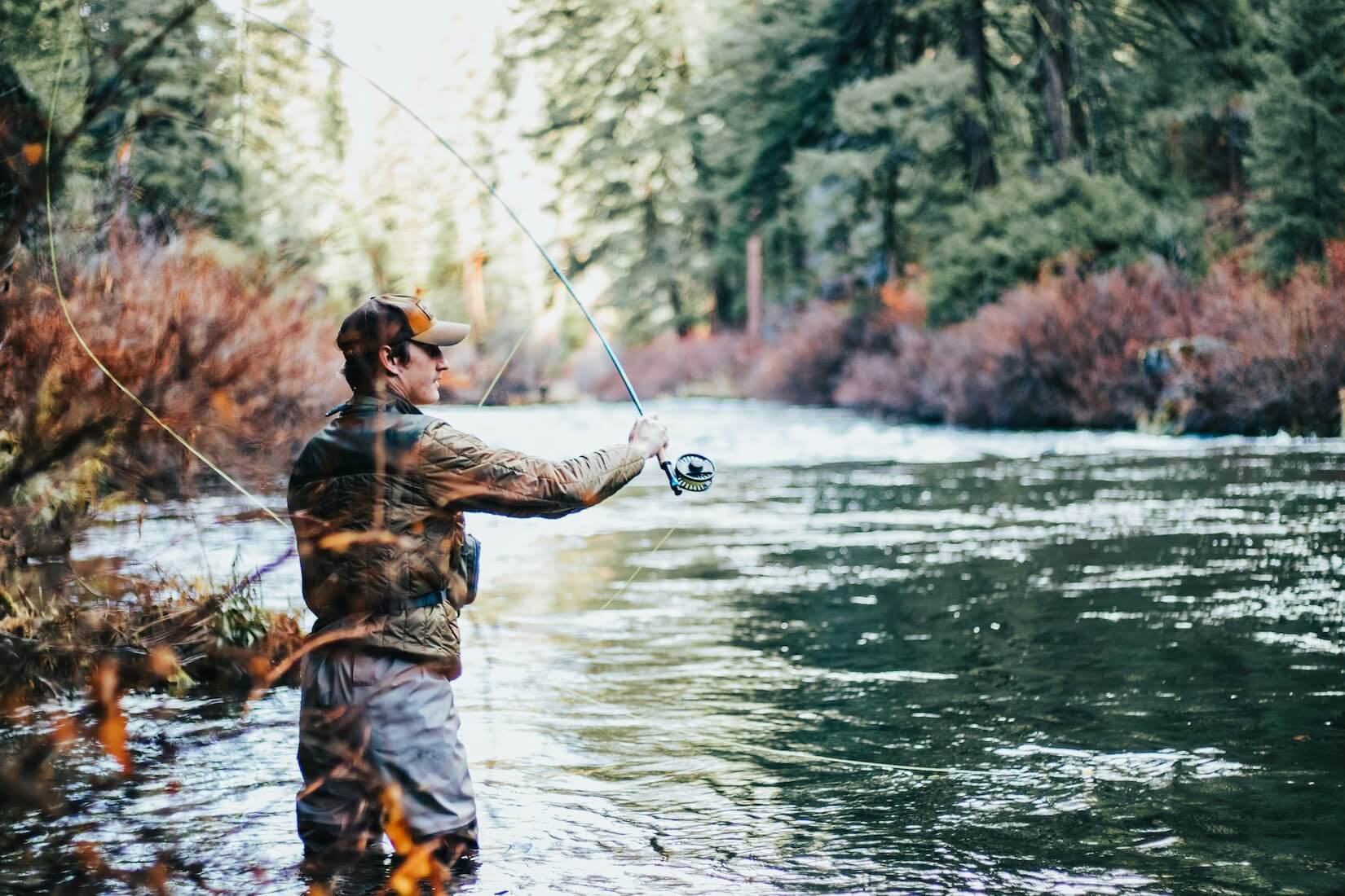 The Thrill of Fly Fishing: Techniques and Tips for Anglers