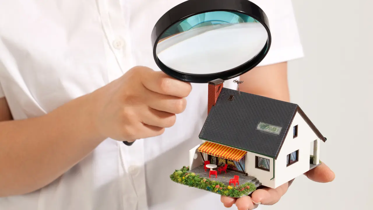 How to Maintain a Pest-Free Environment in Your Home