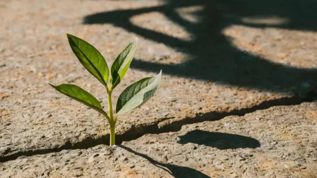 Findutbes: Discover The Best Content And Resources