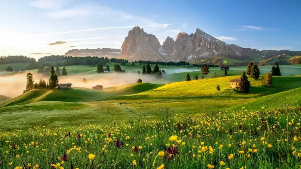 Kotora Melnkaln: The Rising Star in Contemporary Art