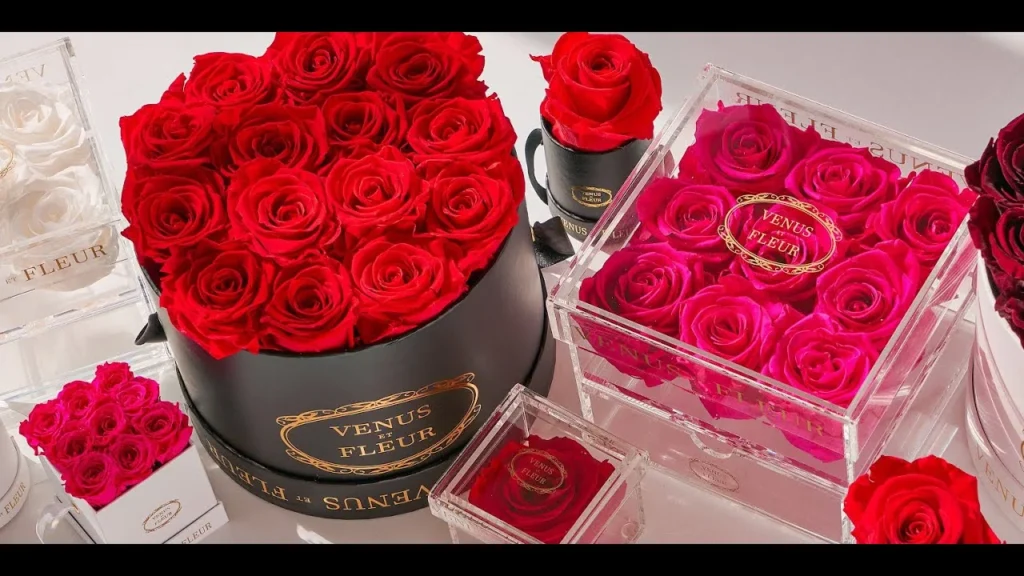 The Rosboxa 1000: Revolutionizing Industrial Automation with Intelligent Precision