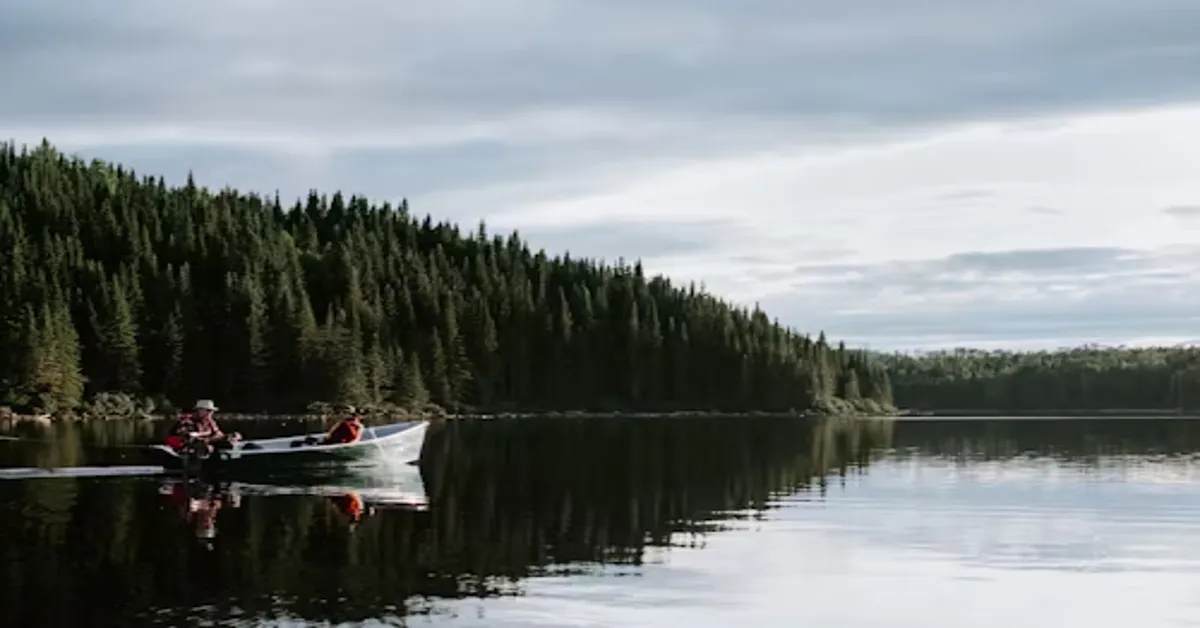 Veneajelu: A Comprehensive Guide to Veneer Restoration and Care