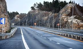 Understanding the Viltnemnda: Norway's Model for Sustainable Wildlife Management