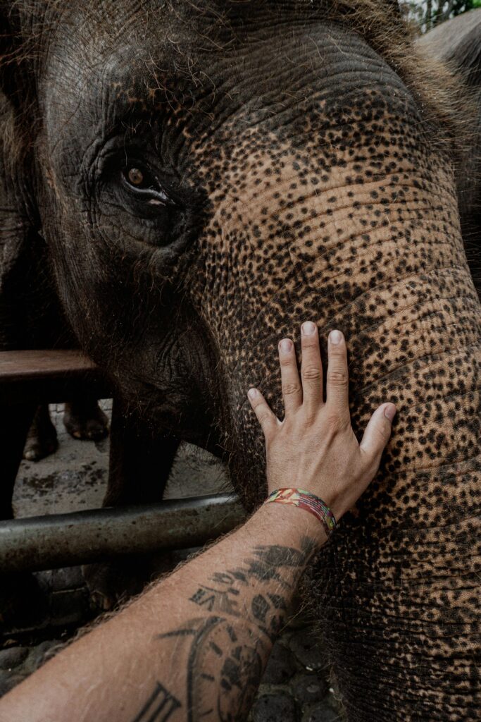 The Modern Guide to Skin Preservation: