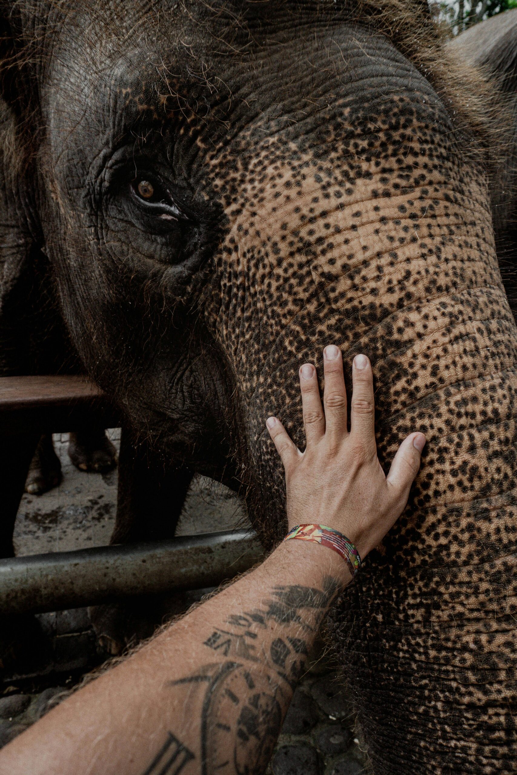 The Modern Guide to Skin Preservation: