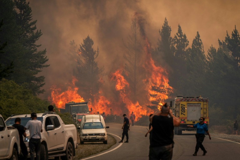 Wildfires spread to 15,000 hectares in Argentine Patagonia